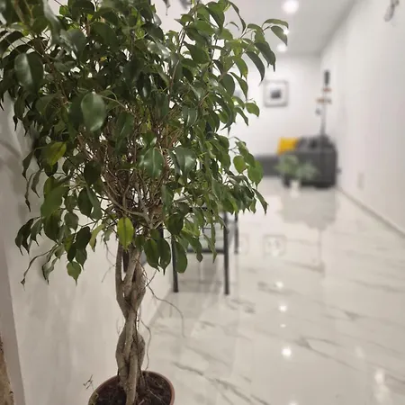 The Stone Loft Cuccureddu Apartament